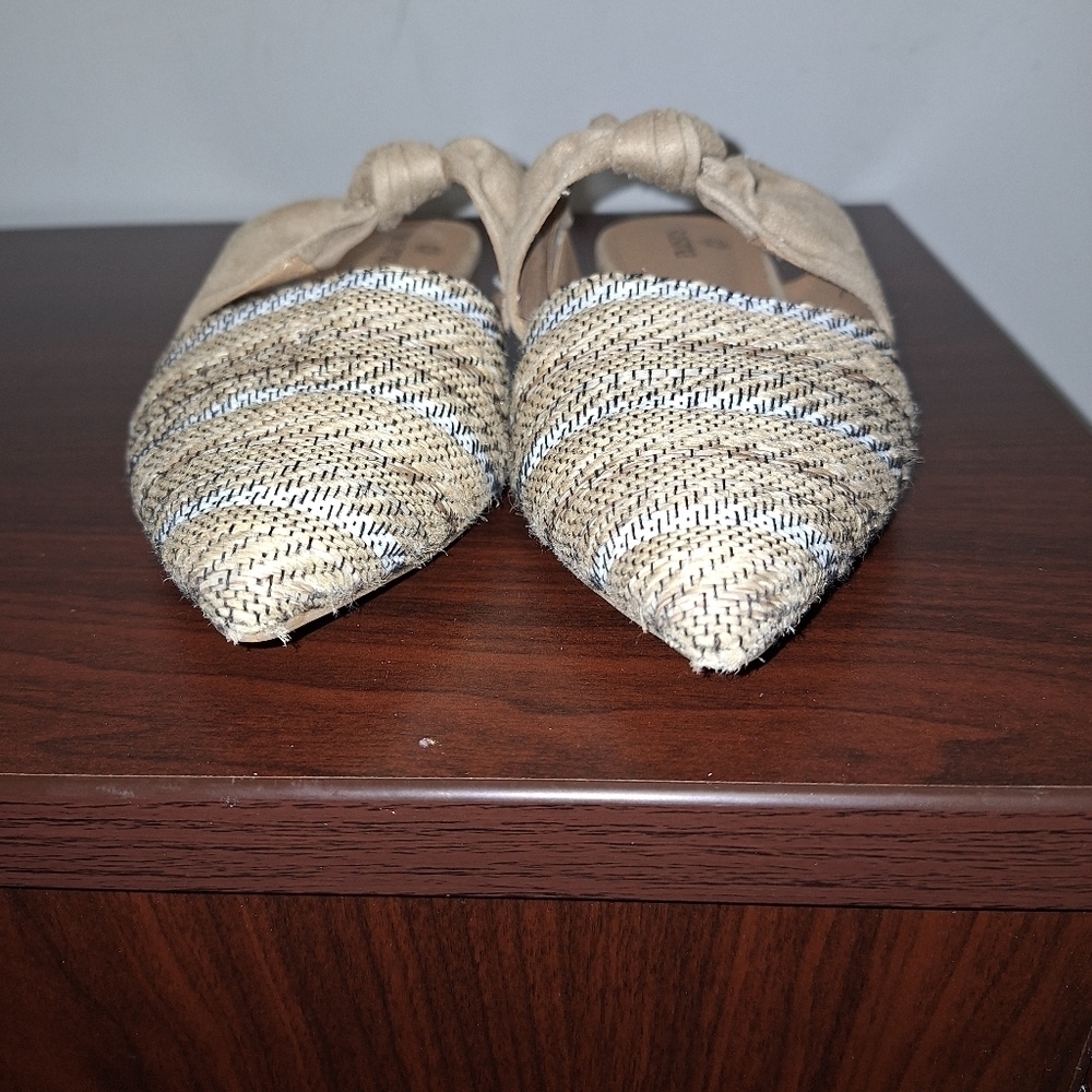 A pair of Susina pointed toe slip-on sandals. Pre-owned but in great shape.